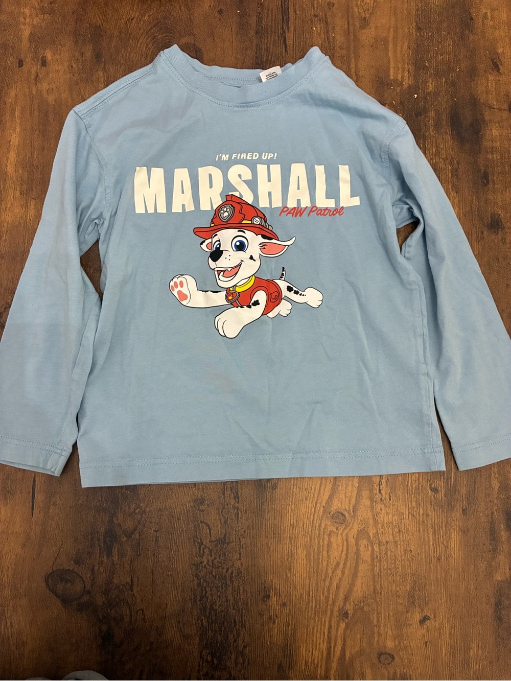Kid’s 5/6T PAW Patrol Marshall Long-Sleeve Shirt